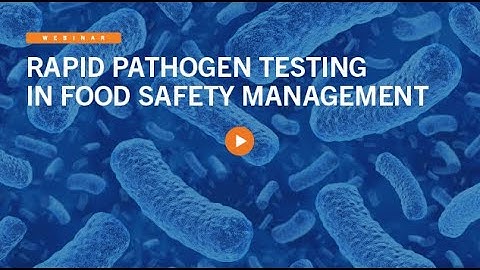Rapid Pathogen Testing in Food Safety Management