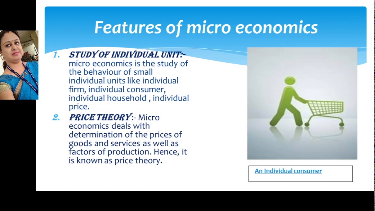 term paper micro economics