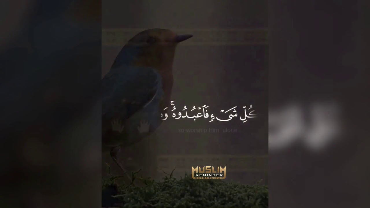 The most shooting Quran recitation l beautiful voice l Quran with