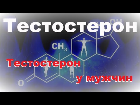 Тестостерон: 1. Тестостерон у мужчин