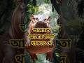 এই তুমি ঘুমাচ্ছো কেন? #youtubeshorts #funny #shorts #cartoon #youtubeshorts #shortvideo #exam #trend