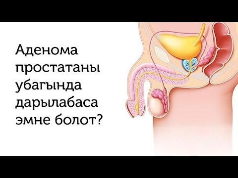 Video: Простатити кантип дарылоо керек: Табигый каражаттар жардам бере алабы?