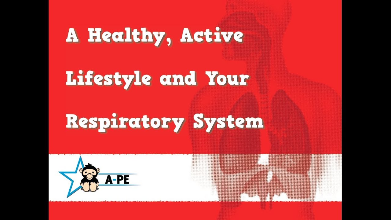GCSE PE A Healthy Active Lifestyle and Your Respiratory System EDEXCEL ...