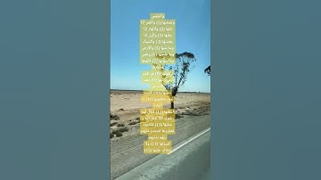 سورة الشمس بصوت خاشع للقارئ محمد الفقيه ماشاء الله #القرآن_الكريم