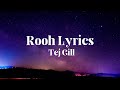 Rooh lyrics  tej gill lyrics punjabi song