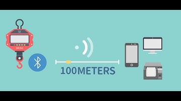 Wireless WEIGHING SYSTEM FROM TAIWAN-Crane scale Weighing indicator Weighing Scale Weighing Solution