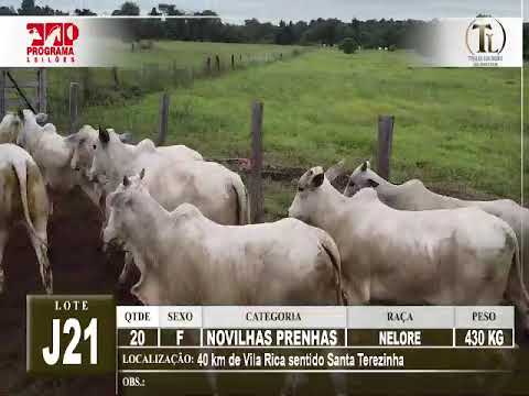 LOTE J21