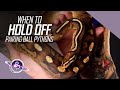 When NOT to Pair | Ball Python Breeding Tips