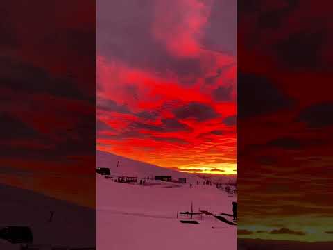 Новая Зеландия | New Zealand