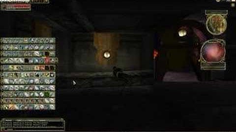 DDO Monk Fighting Speed 14F-2R-1Monk