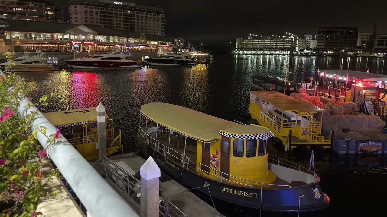 Photos from the marina Tampa Downtown before Halloween