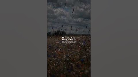 فَاللَّهُ خَيرٌ حافِظًا وَهُوَ أَرحَمُ الرّاحِمينَ | سورة يوسف | القارئ سالم الرويلي #قرآن #اكسبلور