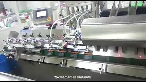 Automatic stand up premade bag vertical liquid filling packing line