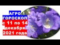 Агрогороскоп с 11 по 14 декабря 2021 года