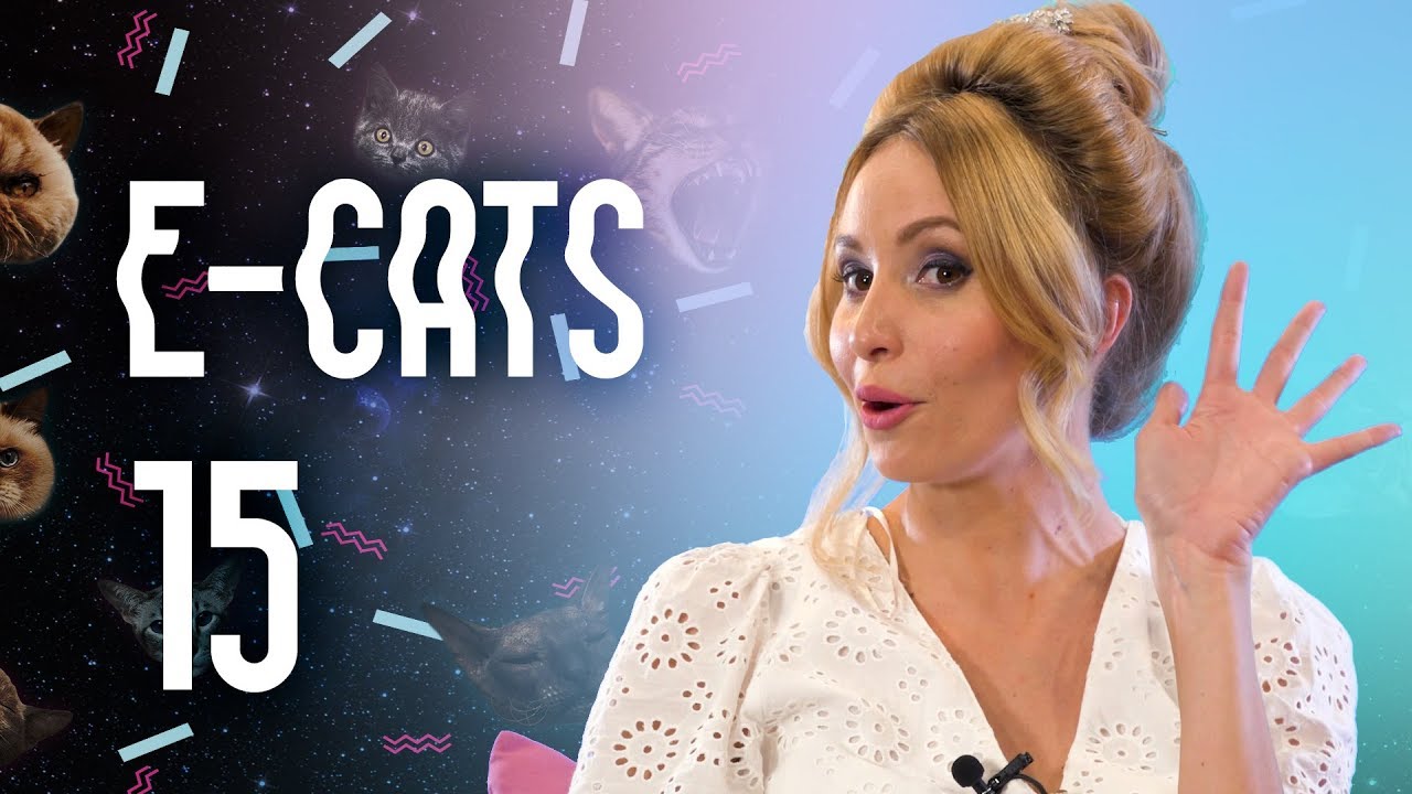 E-CATS #15 🎮 😸  EL PROGRAMA MÁS LOCO DE LOS ESPORTS