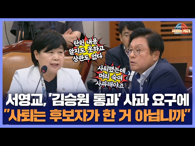 서영교, 김승원 사퇴에도 '당당'? "탄원 내용 모르고 상관도 없다" [문화일보]