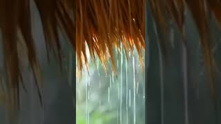 Relax Break 🌦️ Minute antistress | Soothing tropical rain to sleep | Pluie apaisante pour dormir