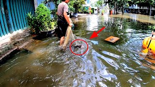 No joke!! Looking for fish after the 2021 flood in Jakarta, the fish are big, big