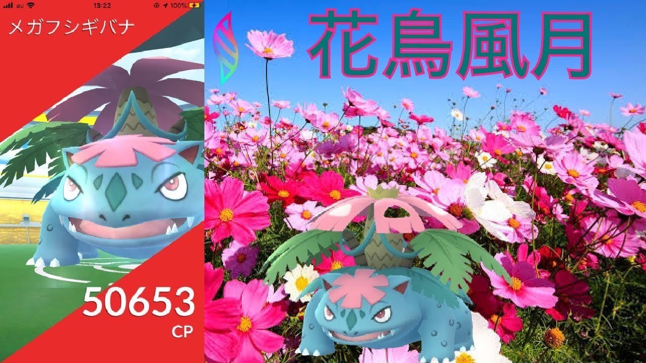 メガシンカの花よ 美しく咲き誇れ メガフシギバナのレイドバトル Getチャレンジ ポケモンgo Youtube メガシンカの花よ 美しく咲き誇れ メガフシギバナのレイドバトル Getチャレンジ ポケモンgo Youtube