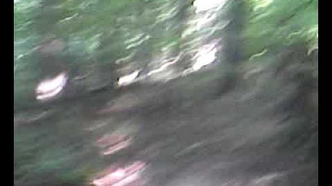 interactive video-THE EVIL JESTER(LEFT PATH)