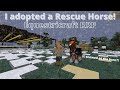 Equestricraft RRP ~ Rescue Horse's First Day at the Barn!