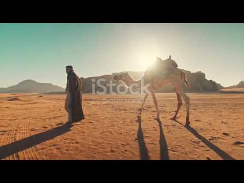 0 أبو بكر الصديق أول الخلفاء الراشدين