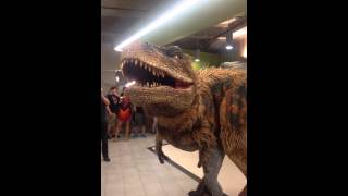 Hilarious dinosaur prank in Groupon's office Wealth