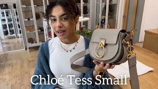 Chloé Tess Small Review