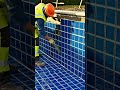Construction of swimming pool in USA forest Area Near A villa type house  #construction #trending