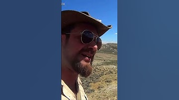 Where they are #twitch #fossils #scienceoutreach #education #science #paleontologizing