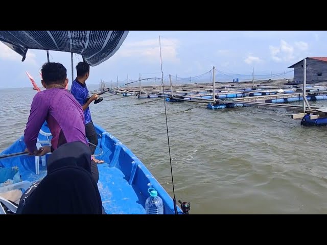 29/05/2024 Trip Mancing at Sangkar Sungai Udang Penang class=