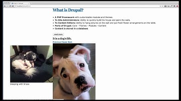 Adding Content to your Drupal 7 Website