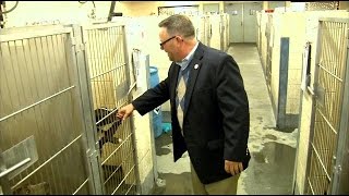 Animal Care & Control names new director