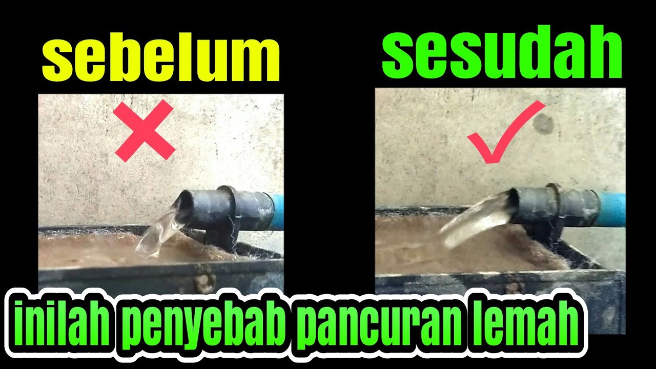 cara mudah memperbaiki pompa celup lemah dan berisik. 