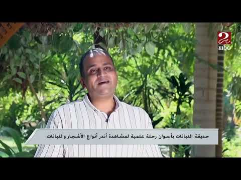 2025 11 5قناة  2 برنامج صباحك مصرى حديقة النباتات بأسوان