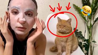 Try Not To Laugh: Smartest Cats 2026 | Best Copycat Moments