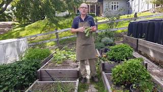 How to grow Veggies at home in Australia the easy way - Free series by Brian and Kaylene