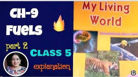 DAV Class 5 Science  Chapter 9 Fuels
