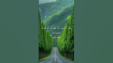 #quran #اكسبلور #تلاوة_خاشعة #لايك #قرآن #راحة_نفسية #دويتو #duet #تيك_توك #حالات_واتس