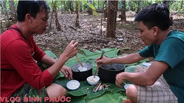 Giăng Lưới Câu Cá Nấu Bữa Cơm Dân Dã cùng admin Thú Vui Dân Dã | Vlog Bình Phước