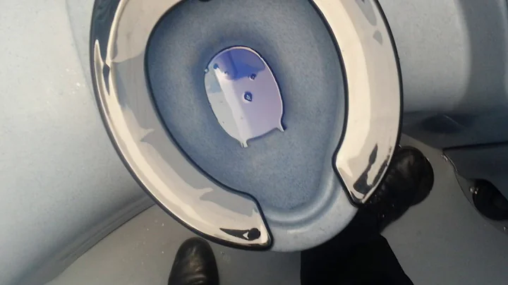 Amazing Flush Water System in Portable Toilet