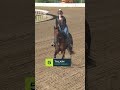 One of these horses 𝗪𝗜𝗟𝗟 will the Preakness Stakes!