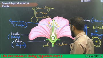 Life Processes in Living Organism Part 2 | Lec 02 | Reproduction in Plants & Pollination | #QasimSir