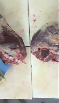 Топ сайд огузок внутреняя часть тазобедренного отруба - YouTube