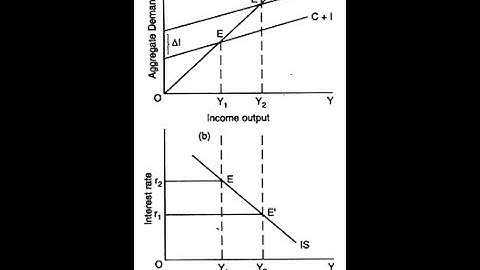 Macroeconomics: The IS Curve