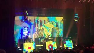 Animal Collective- Lying in the Grass live at Madison Theater