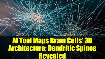 AI Tool Maps Brain Cells