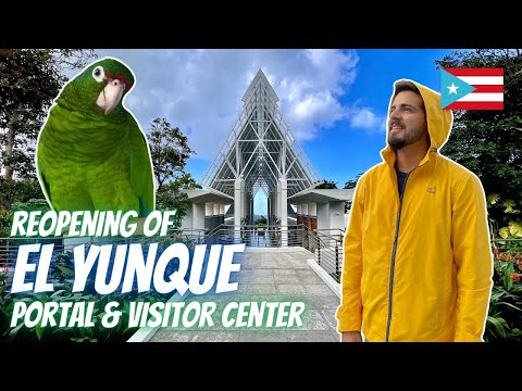 EL PORTAL DE EL YUNQUE REOPENED! | See The Puerto Rican Parrot, Explore Trails, Buy Authentic Gifts