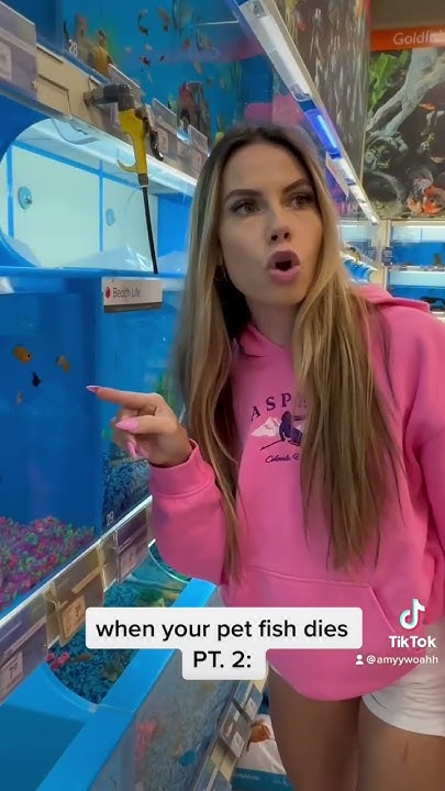 when-your-pet-fish-dies-pt-2-youtube