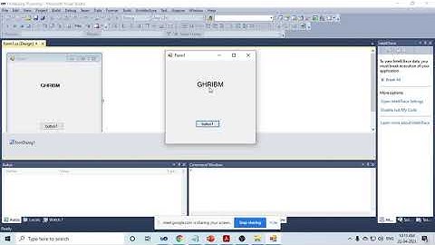 031 Font Dialog Box in C#